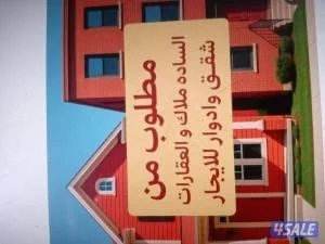 شقه للأجار  في المطلاع